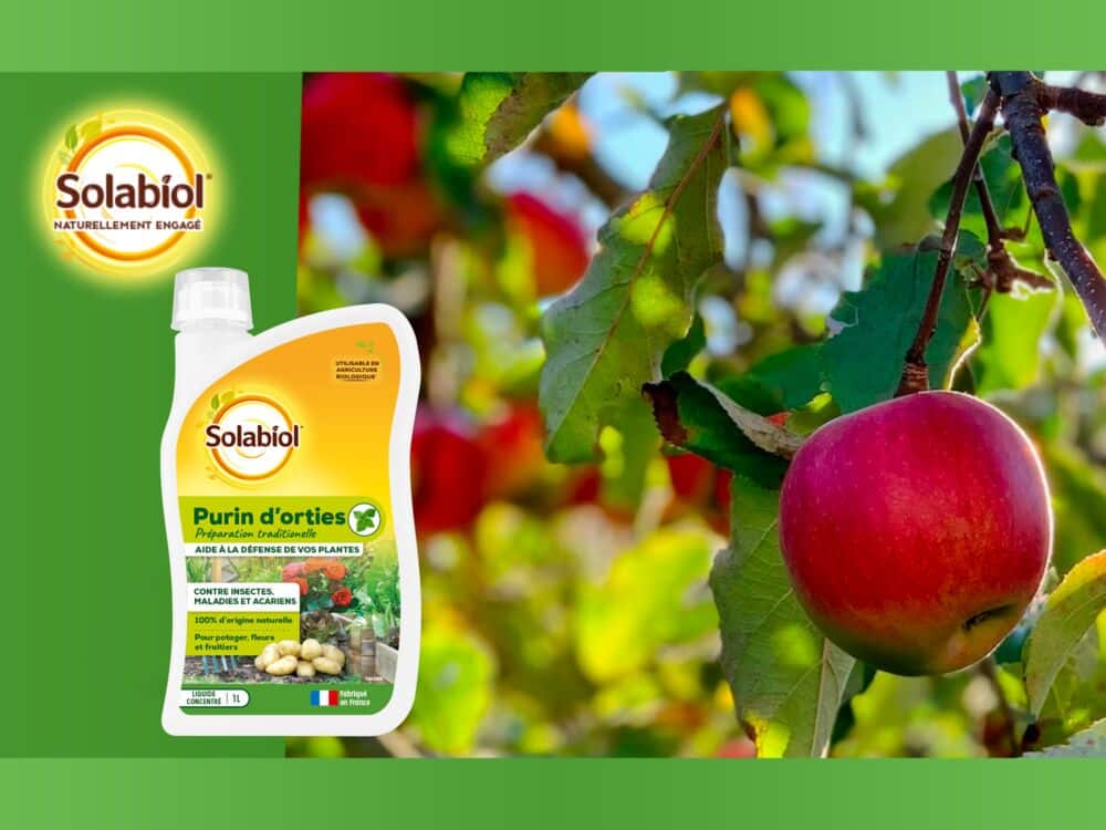 Purin d'orties Solabiol