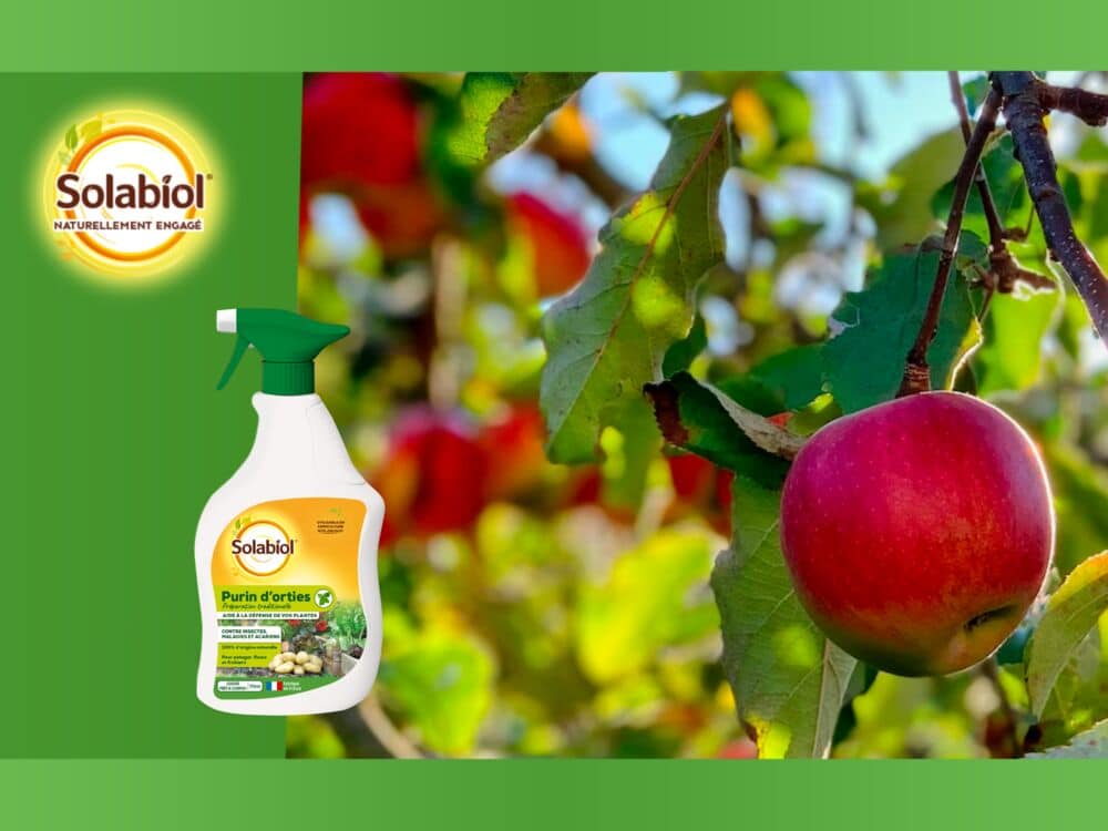 Purin d'orties Solabiol Prêt à l'emploi