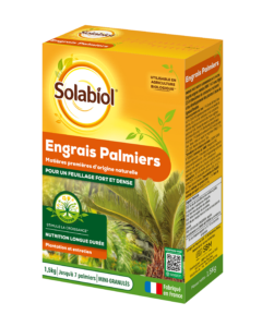 Engrais Palmiers