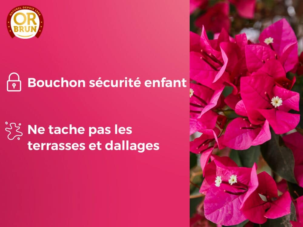 Engrais lauriers roses et bougainvilliers