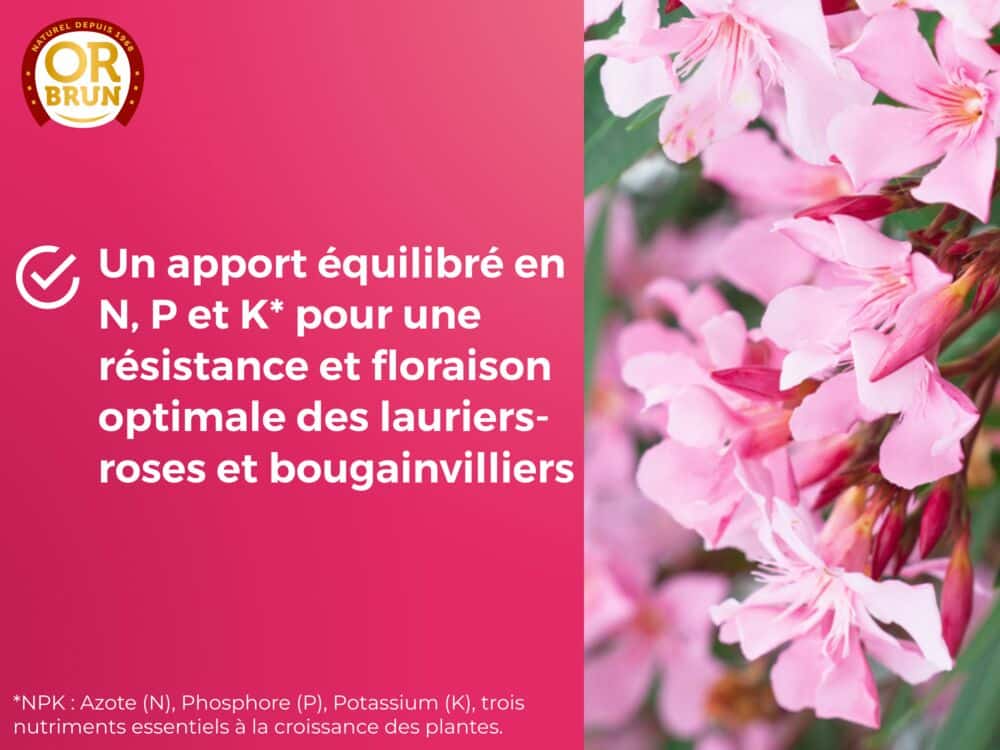 Engrais lauriers roses et bougainvilliers