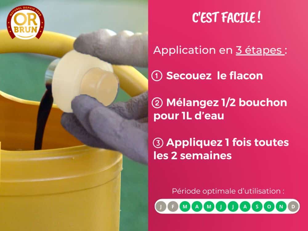 Engrais liquide orchidées or brun utilisation