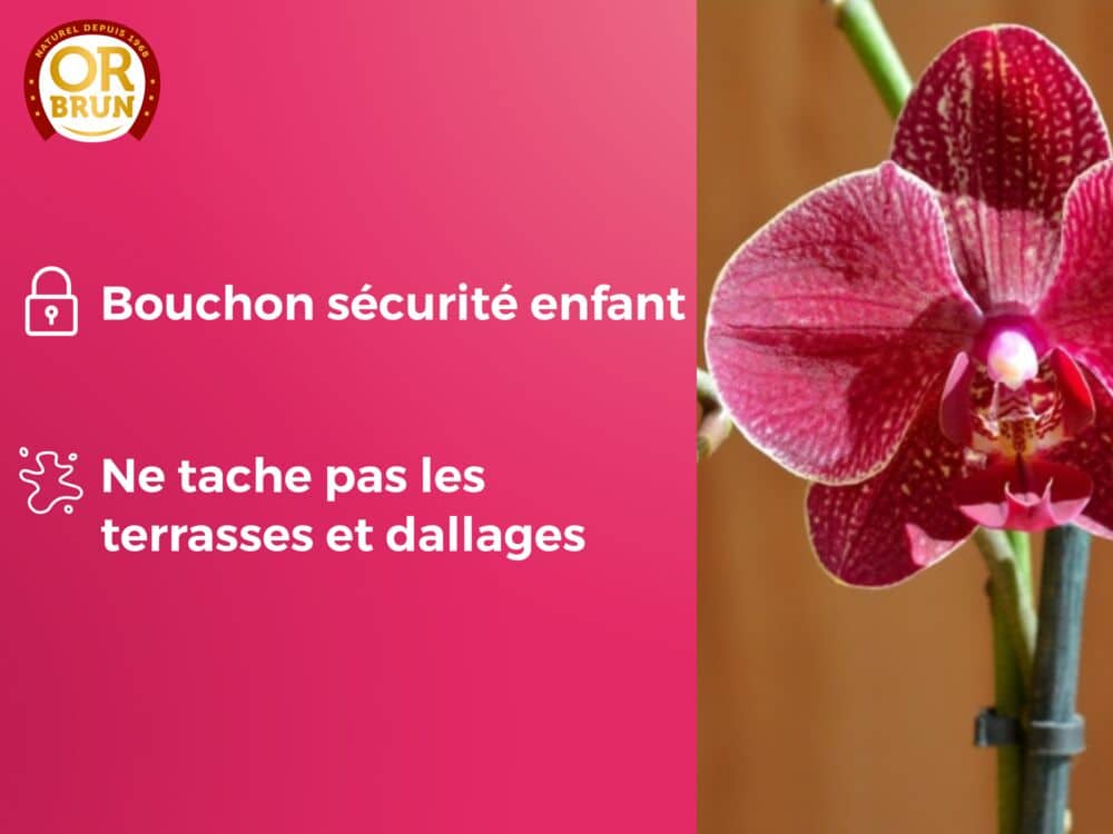 Engrais liquide orchidées or brun