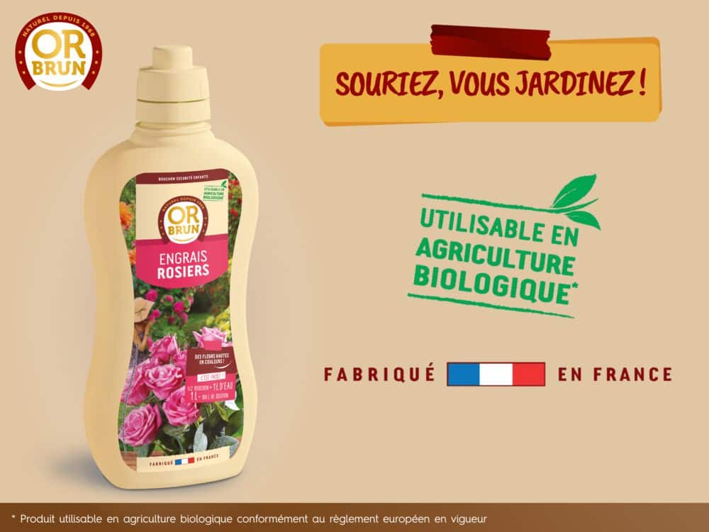 Engrais liquide rosier or brun