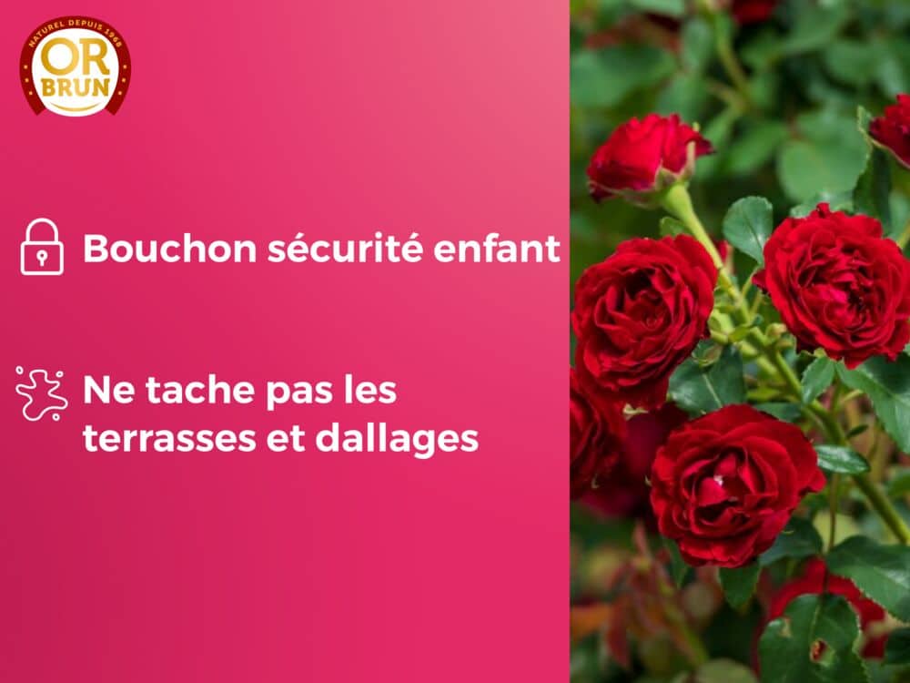 Engrais liquide rosier or brun