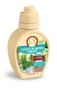 Engrais plantes vertes