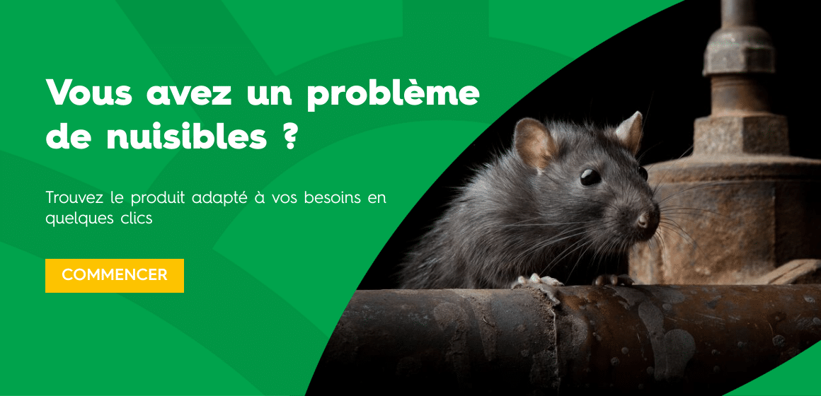 bannieres_site_5-copy_desktop_images_1160x560