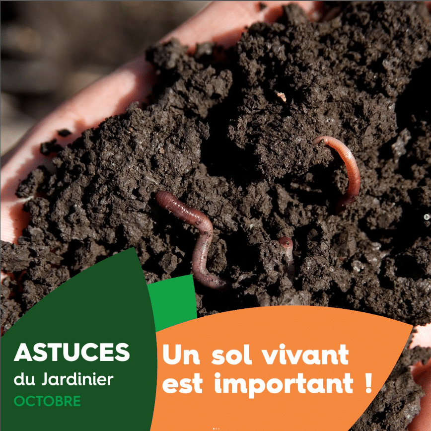 Sol vivant, L'authentique Or brun