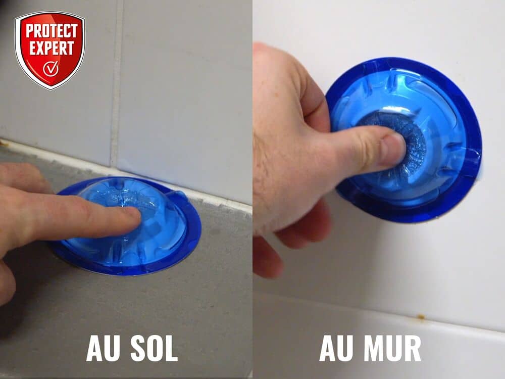 Boite appâts Fourmis & Fourmilières