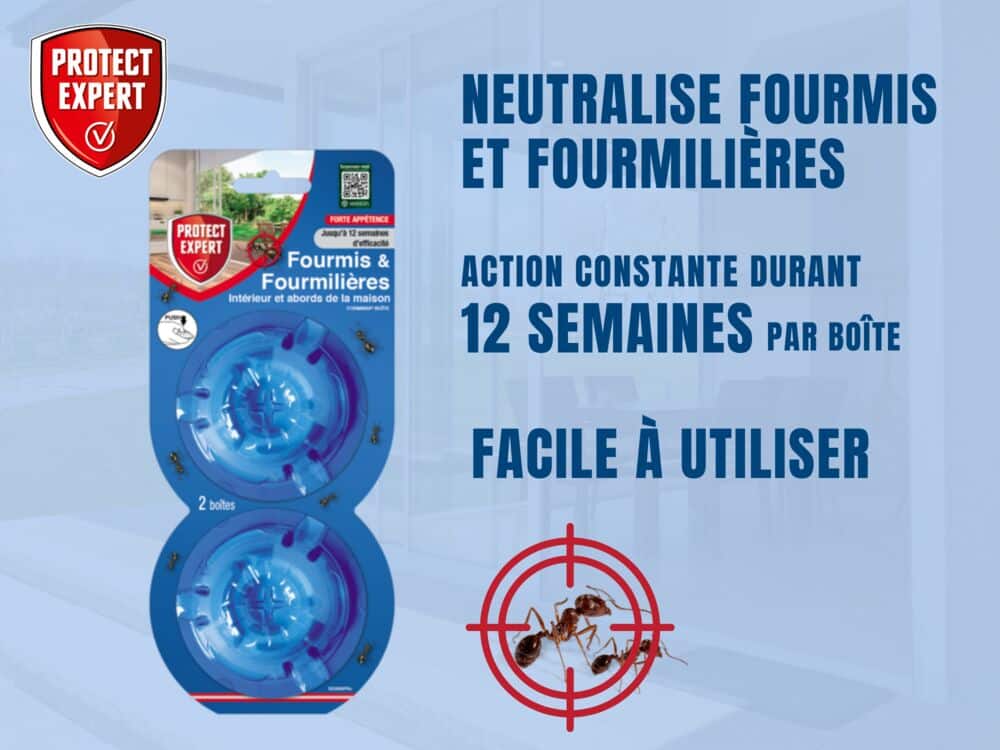 Boite appâts Fourmis & Fourmilières
