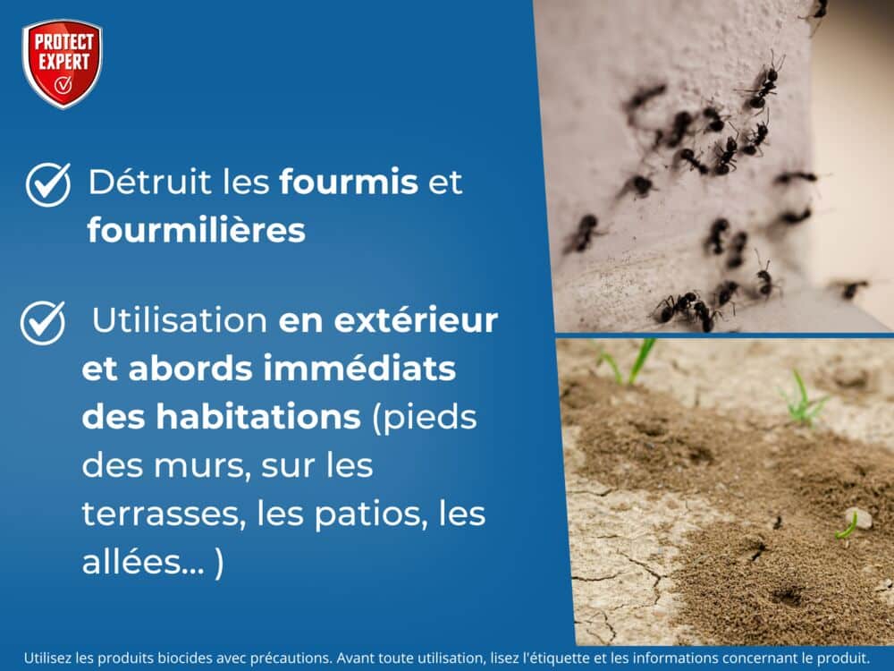 Poudre Fourmis & Fourmilières