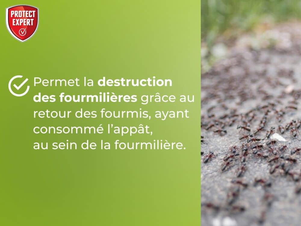 FTUBNAT2N Fourmis & Fourmilières - Intérieur Tubes Appâts