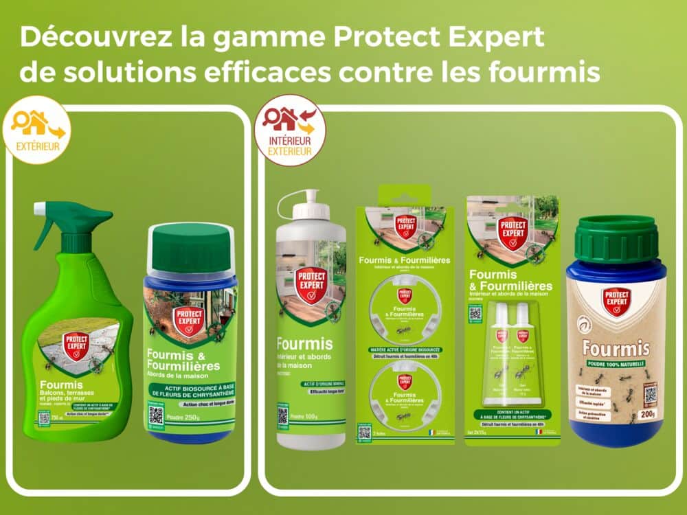 FTUBNAT2N Fourmis & Fourmilières - Intérieur Tubes Appâts