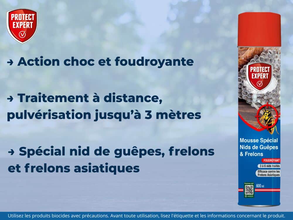 Nids de Guêpes et Frelons Mousse Aérosol