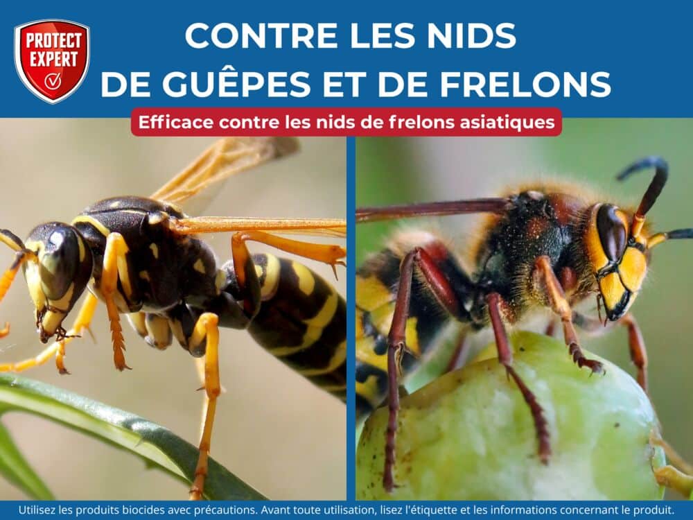 Nids de Guêpes et Frelons Mousse Aérosol