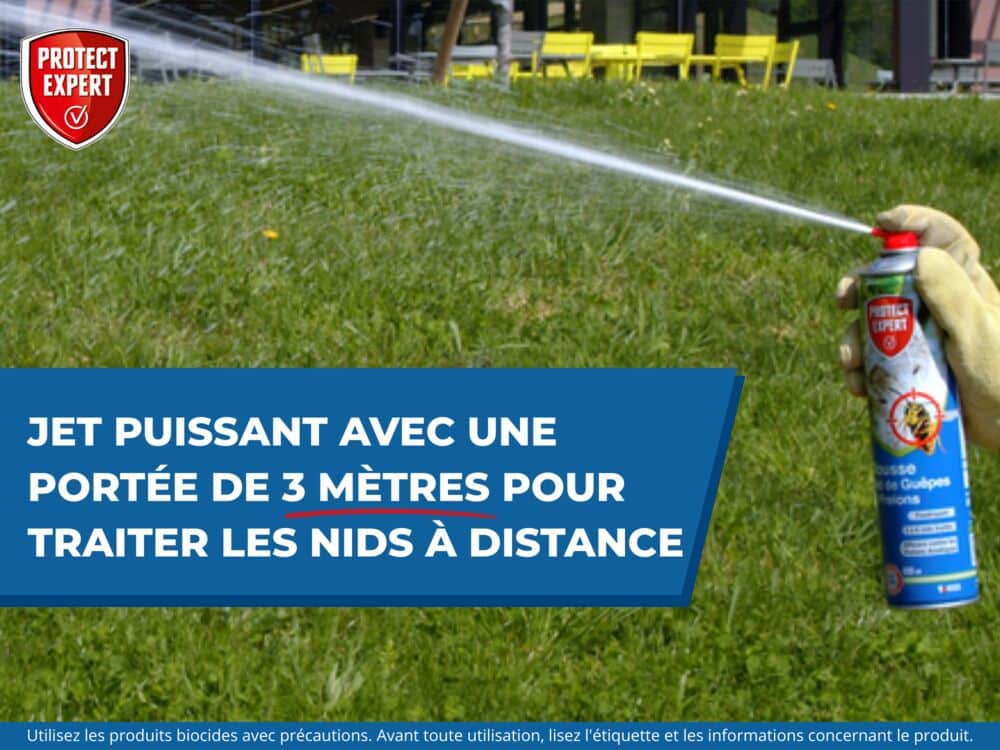 Nids de Guêpes et Frelons Mousse Aérosol