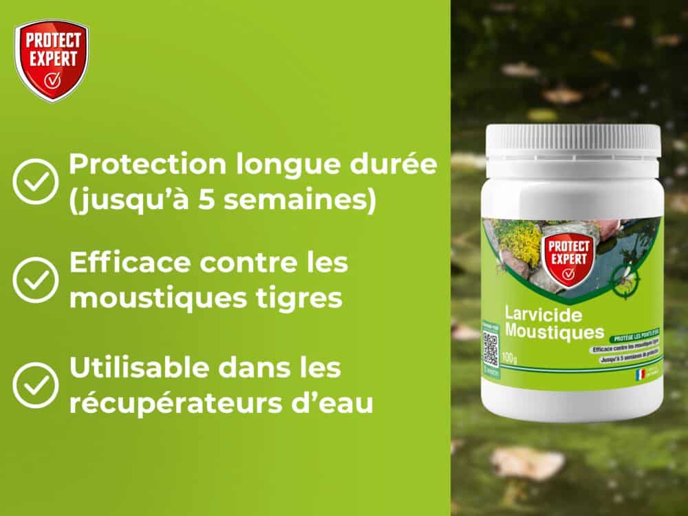 Larvicide Moustiques