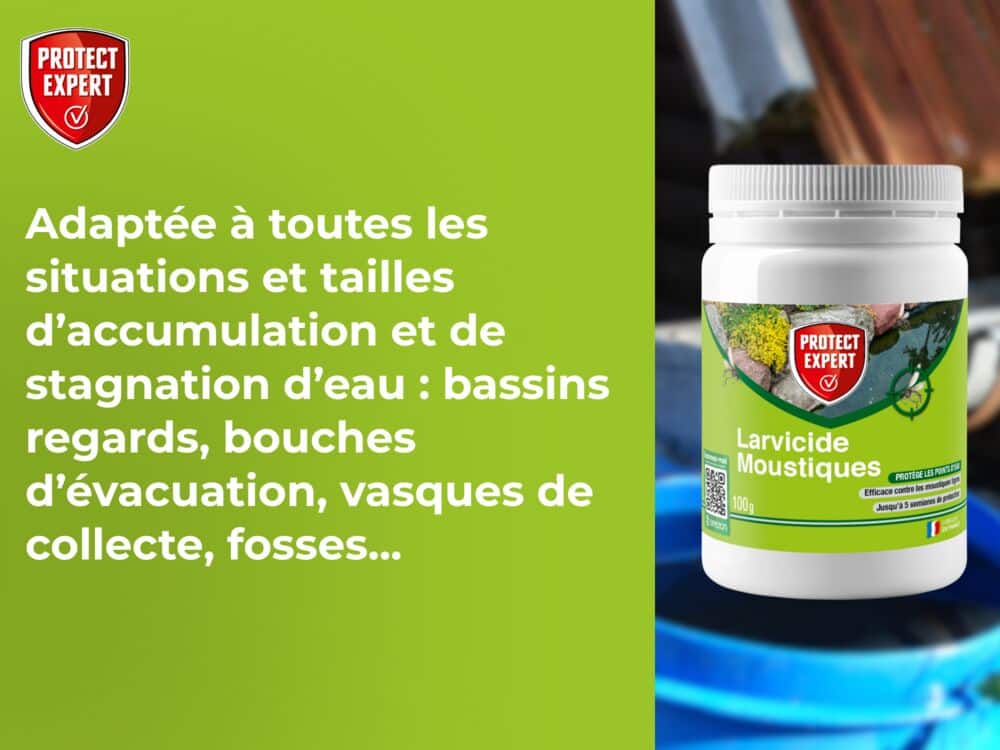 Larvicide Moustiques