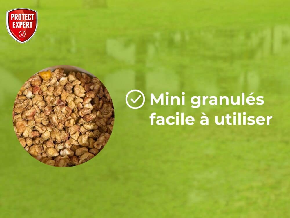 Larvicide Moustiques