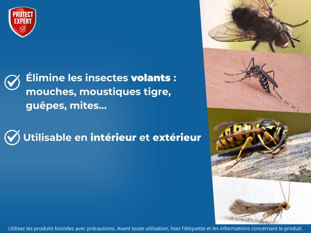 Insectes Volants - Aérosol