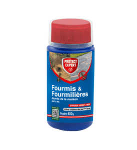 Poudre Fourmis & Fourmilières