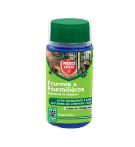 Fourmis &#038; Fourmilières &#8211;  Abords de la Maison &#8211; Poudre