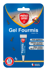 Protect Expert - Fourmis & Fourmilières – Intérieur et Abords de la Maison – Tube Concentré