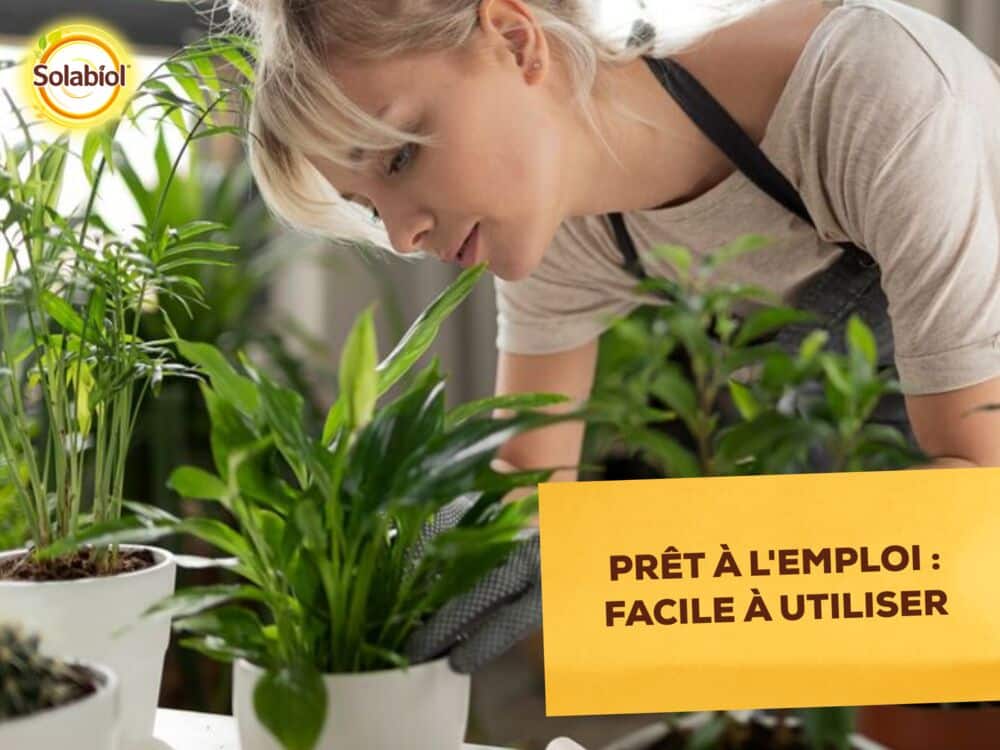 SOPVPAL500 - Insectes Plantes d’Intérieur - Prêt à l’emploi Solabiol