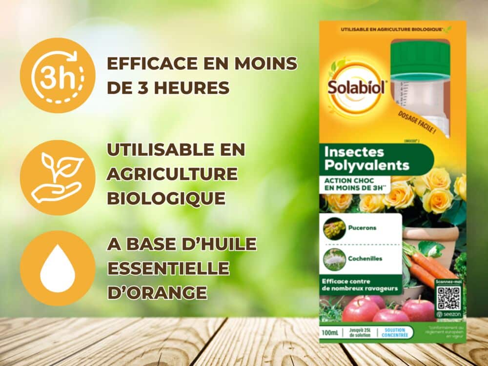 Insectes Polyvalents Concentré
