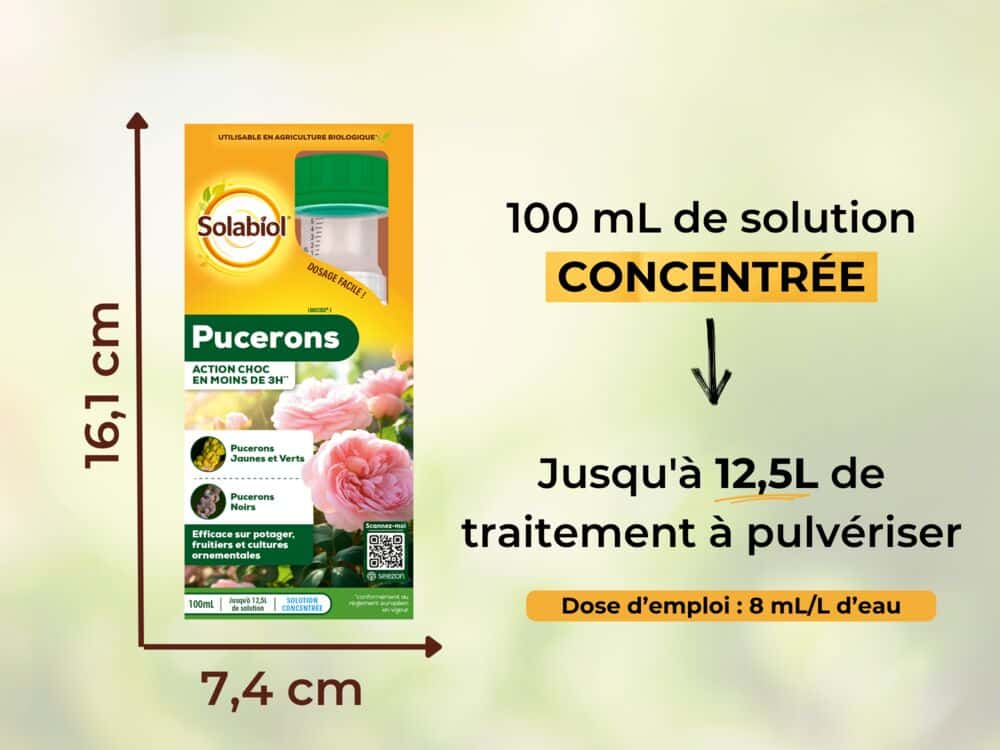 Pucerons - Traitement Concentré