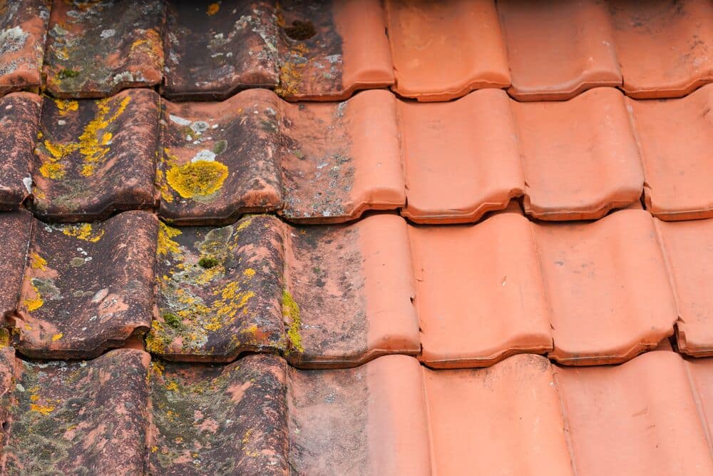 Avant-Apres algues Protect Expert tuiles