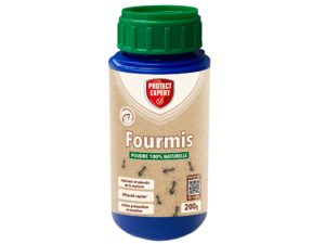 poudre fourmis sans insecticide