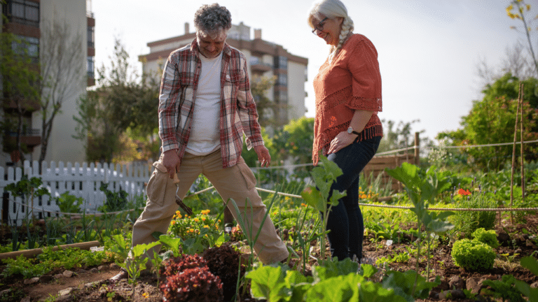 Préparation potager
