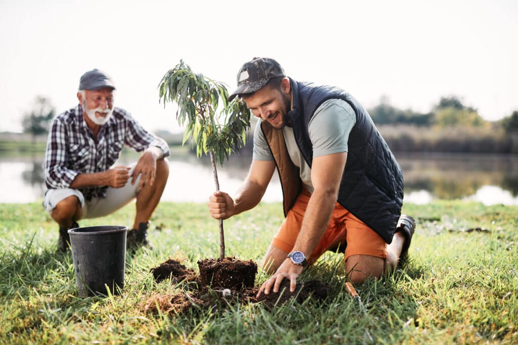 planter un arbre avec de l'engrais