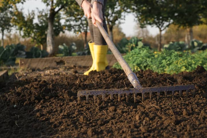 jardinage automne - fertilisation du sol