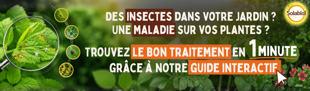 trouver traitement plantes