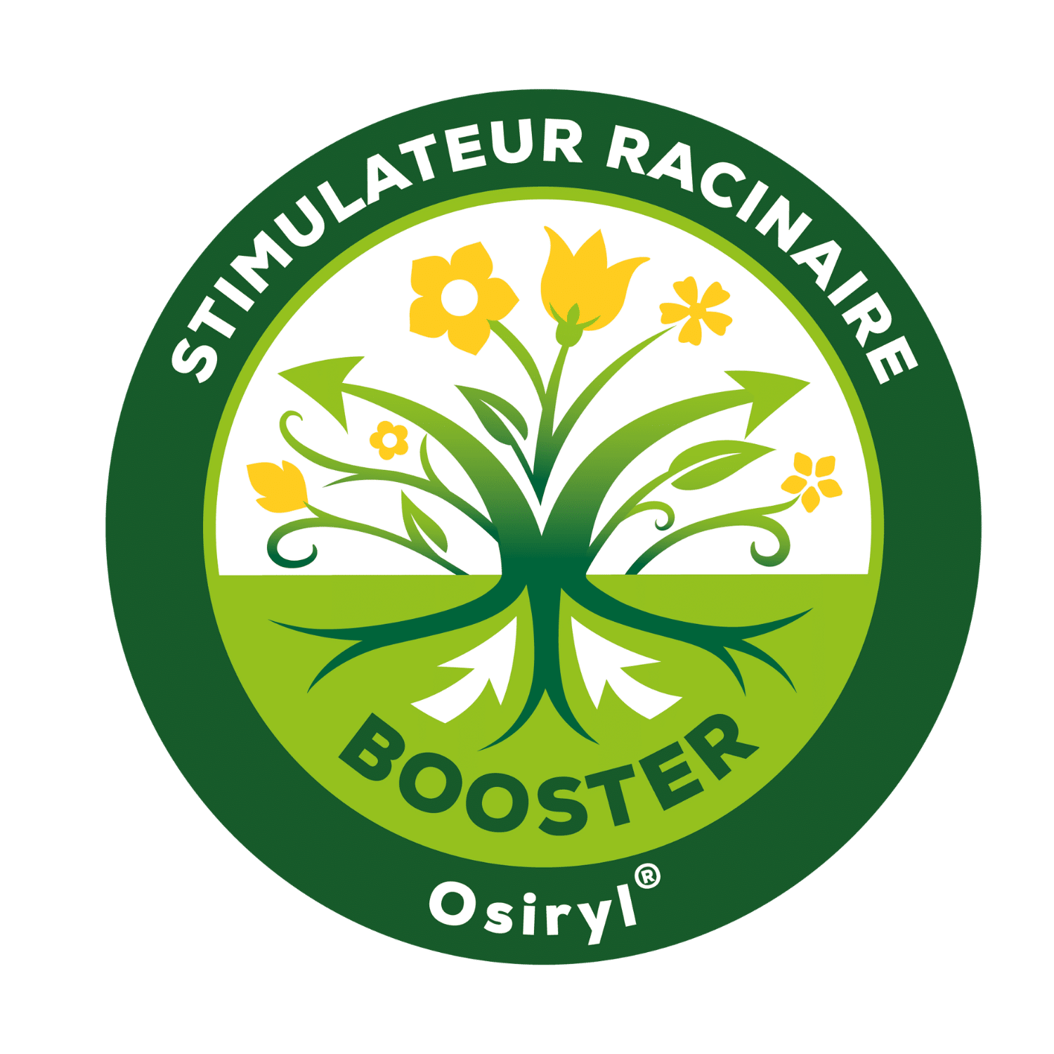 Stimulateur racinaire : pourquoi les racines font la différence